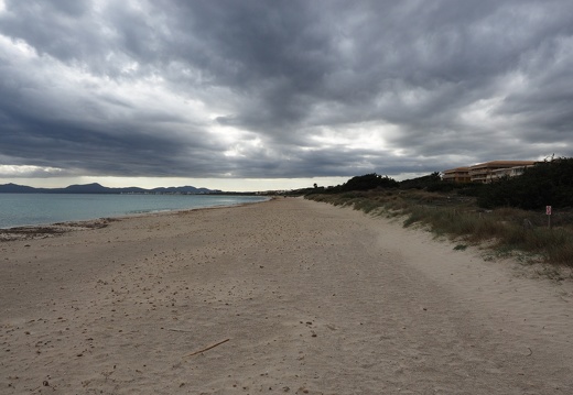 2016